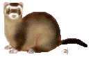 pixelated ferret gif